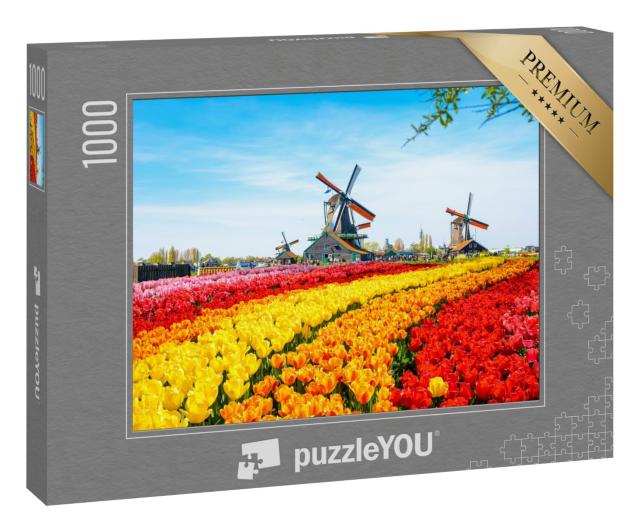 Puzzle 1000 Teile „Tulpen und Windmühlen in Zaanse Schans, Niederlande“