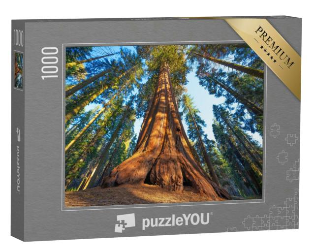 Puzzle 1000 Teile „Riesenmammutbaum bei Sonnenuntergang“