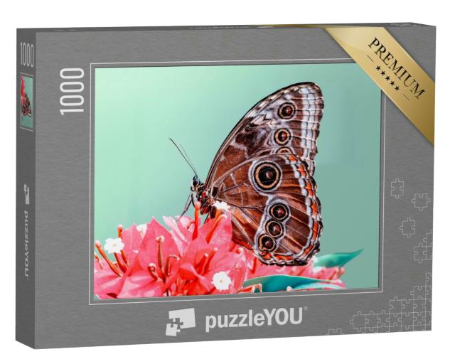 Puzzle 1000 Teile „Makroaufnahme: Ein Schmetterling“