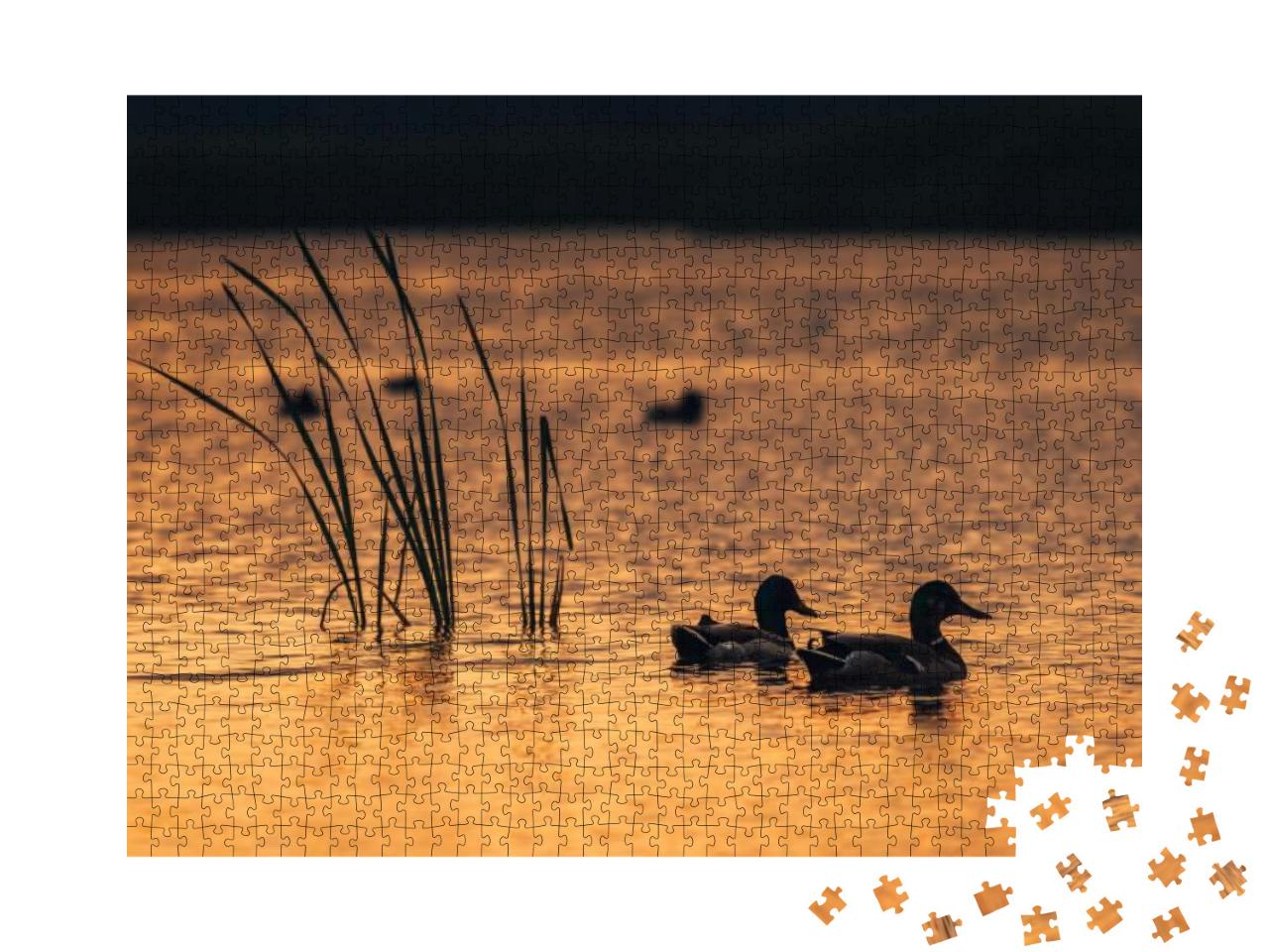 Puzzle 1000 Teile „Enten im Wasser des Sees während des Sonnenaufgangs“