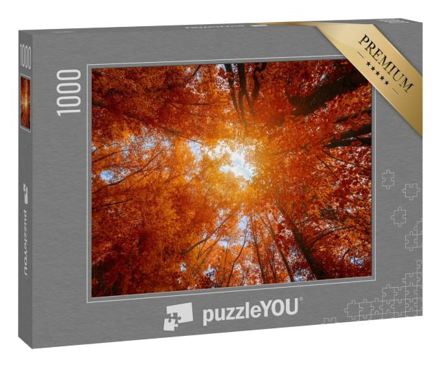Puzzle 1000 Teile „Bunte Baumkronen im Herbstwald“