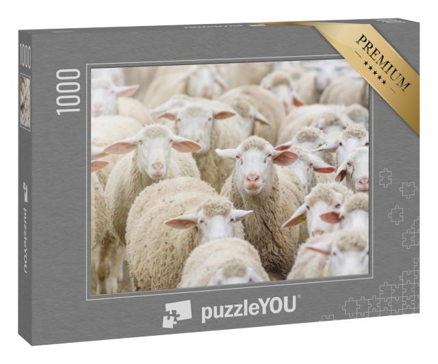 Puzzle 1000 Teile „Aufnahme einer Schafherde, Schafzucht, ein Schaf schaut in die Kamera“