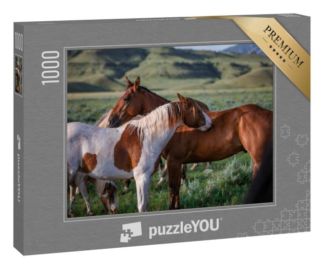 Puzzle 1000 Teile „Freunde: Paintpony und Ranch-Pferd, Montana, USA“