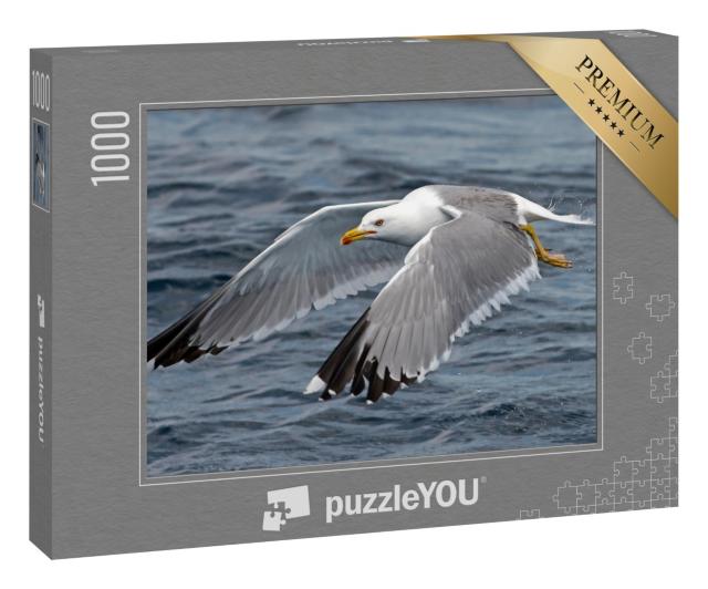 Puzzle 1000 Teile „Detailstudie: Möwe im Flug“