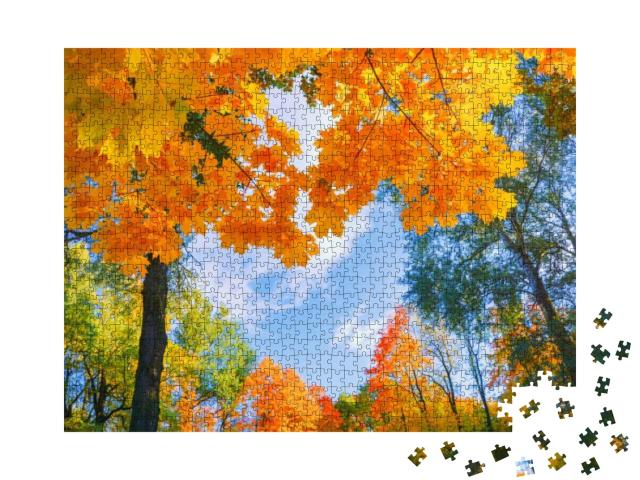 Puzzle 1000 Teile „Wunderschöne Landschaft: Goldenes Laub im Herbst“
