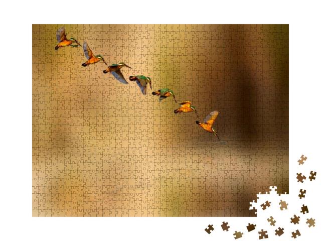 Puzzle 1000 Teile „Tauchender Eisvogel“