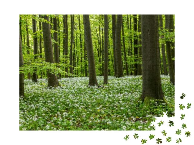 Puzzle 1000 Teile „Wunderschöne Bärlauchblüte im Nationalpark Hainich, Thüringen“