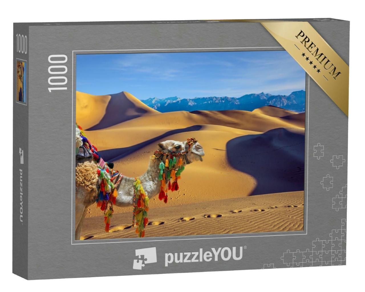 Puzzle 1000 Teile „Prächtiges einhöckriges Kamel: Dromedar“