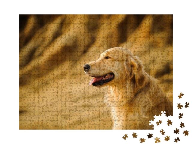 Puzzle 1000 Teile „Golden Retriever“