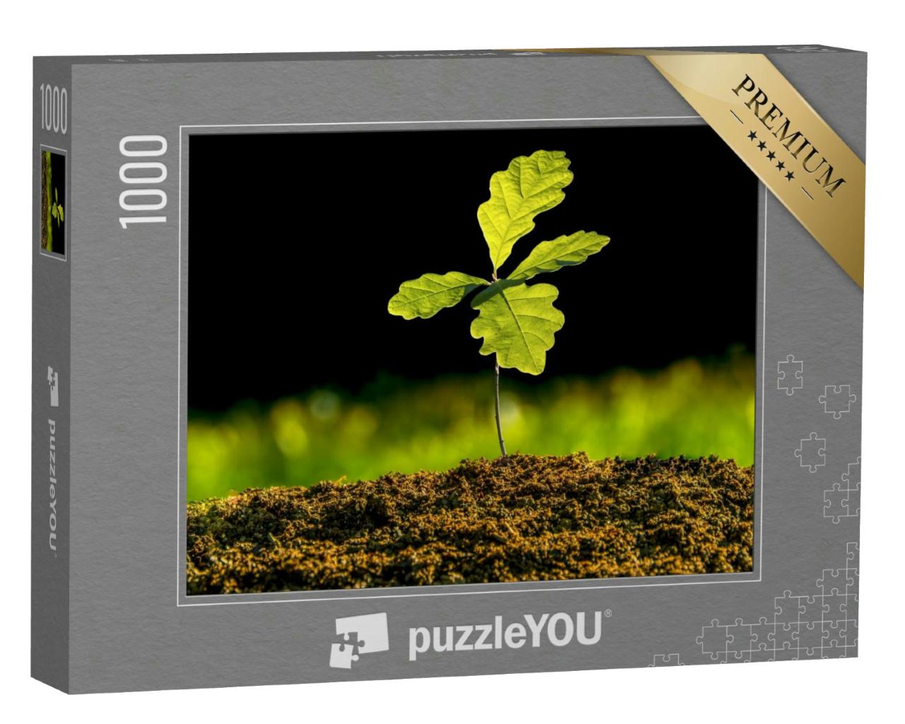 Puzzle 1000 Teile „Kleine Eichenpflanze wächst im Garten, Setzling“