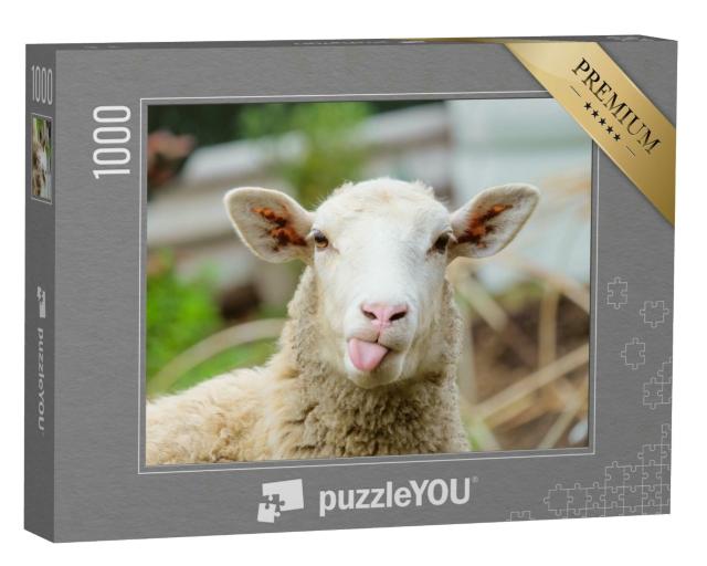 Puzzle 1000 Teile „Lustiges Schaf, Porträt eines Schafes mit Zunge aus dem Maul“