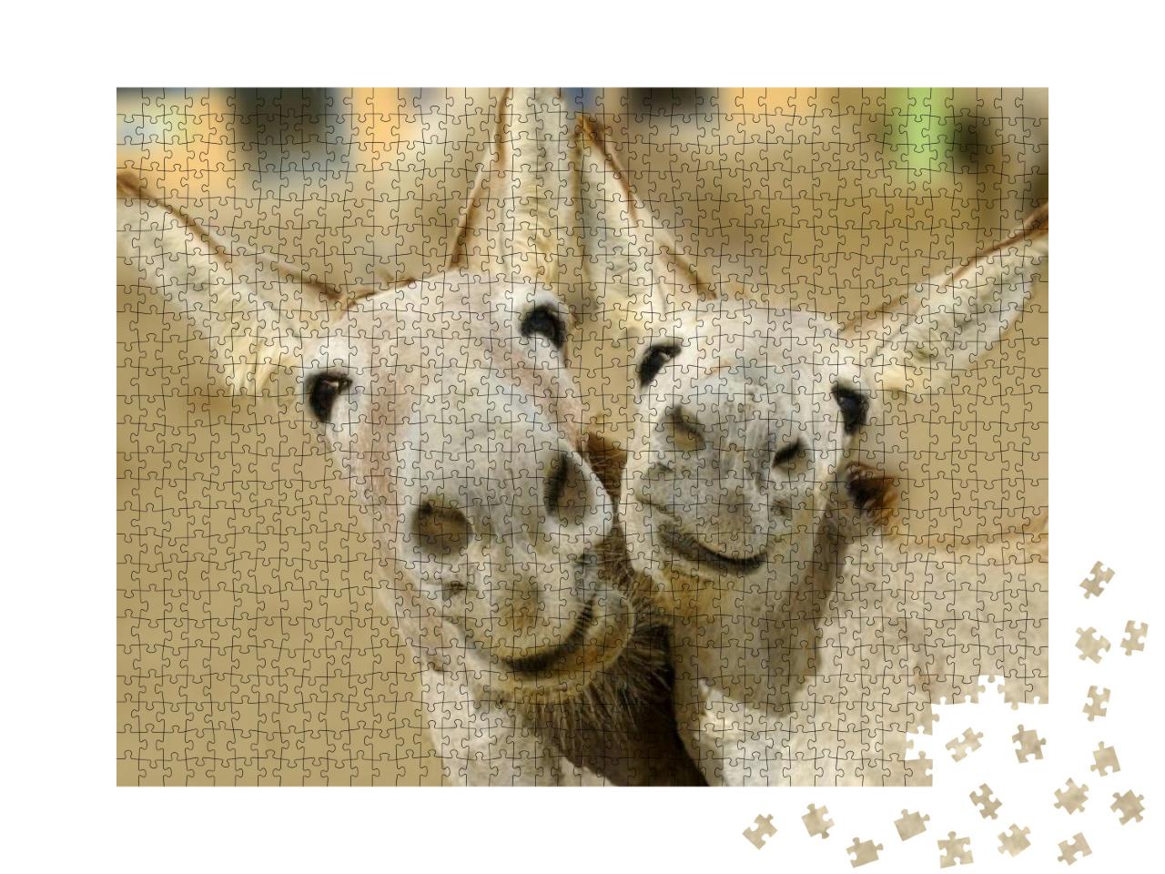 Puzzle 1000 Teile „Zwei cremefarbene Esel posieren mit einem glücklichen Lächeln“