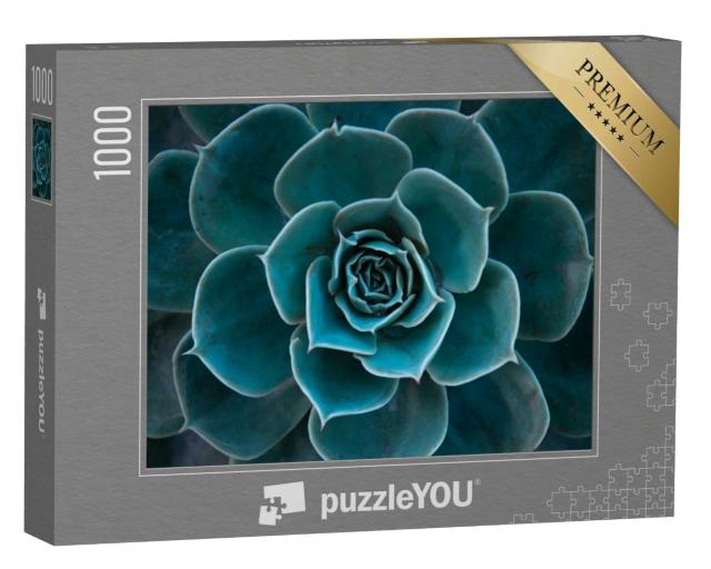 Puzzle 1000 Teile „Die Schönheit der Natur: Nahaufnahme eines Krustenkaktus“