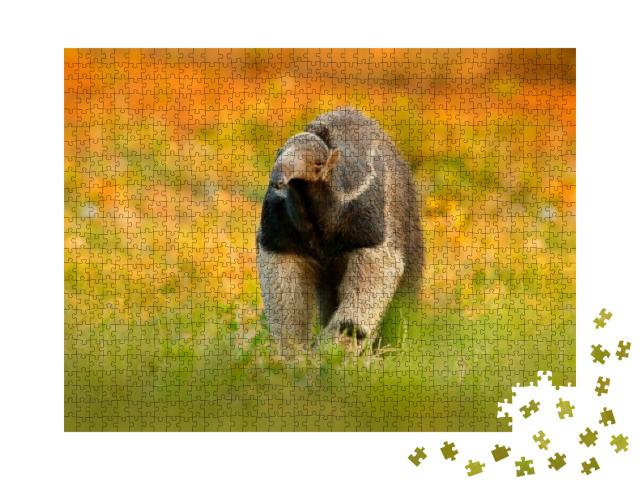 Puzzle 1000 Teile „Ameisenbär, niedliches Tier aus Brasilien“