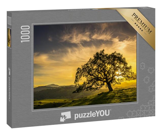 Puzzle 1000 Teile „Sonnenuntergang durch eine Eiche in der Nähe von San Jose, Kalifornien“