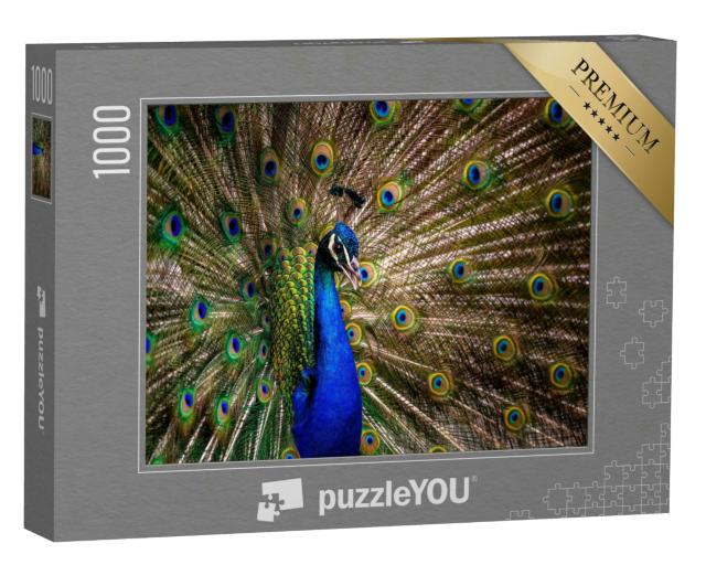 Puzzle 1000 Teile „Pfauenschwanz: elegantes buntes Pfauenporträt“