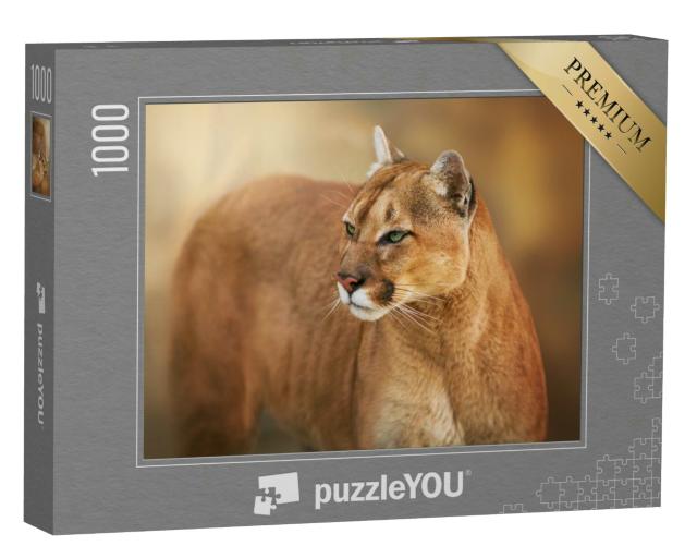 Puzzle 1000 Teile „Puma, anvisierender Blick aus grünen Augen“