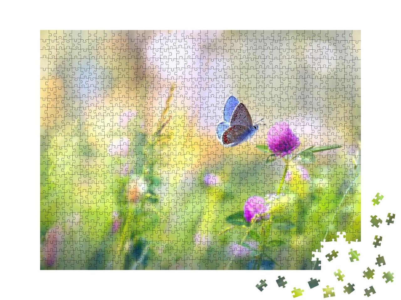 Puzzle 1000 Teile „Wilde Blumen: eine Wiese mit Klee und Schmetterling“