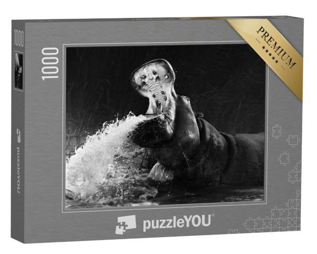 Puzzle 1000 Teile „Beeindruckendes Nilpferd mit geöffnetem Mau im Wasser, schwarz-weiß“