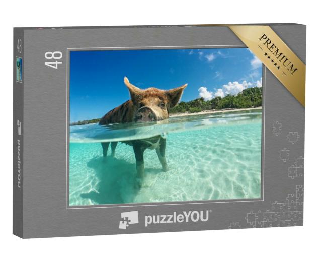 Puzzle 48 Teile „Wasserbegeistertes Wildschwein auf den Bahamas, Karibik“