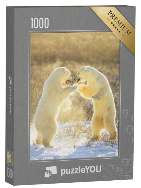 Puzzle 1000 Teile „Eisbären aus Kanada, Jungtiere“