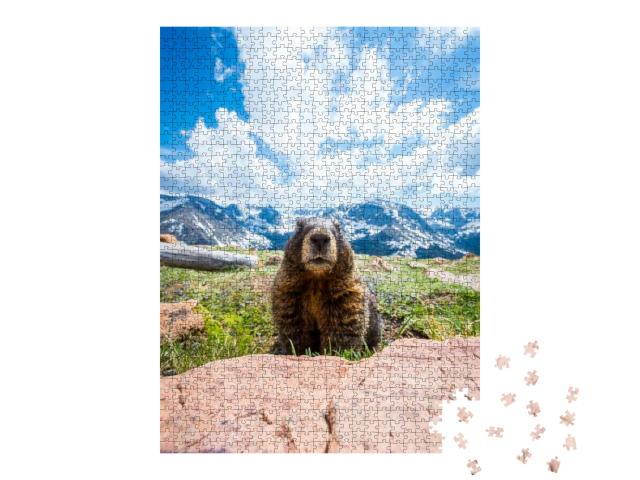 Puzzle 1000 Teile „Ein neugieriges Murmeltier im Rocky Mountain National Park, Kalifornien“
