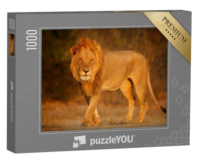 Puzzle 1000 Teile „Männlicher Löwe in der afrikanischen Abendsonne“