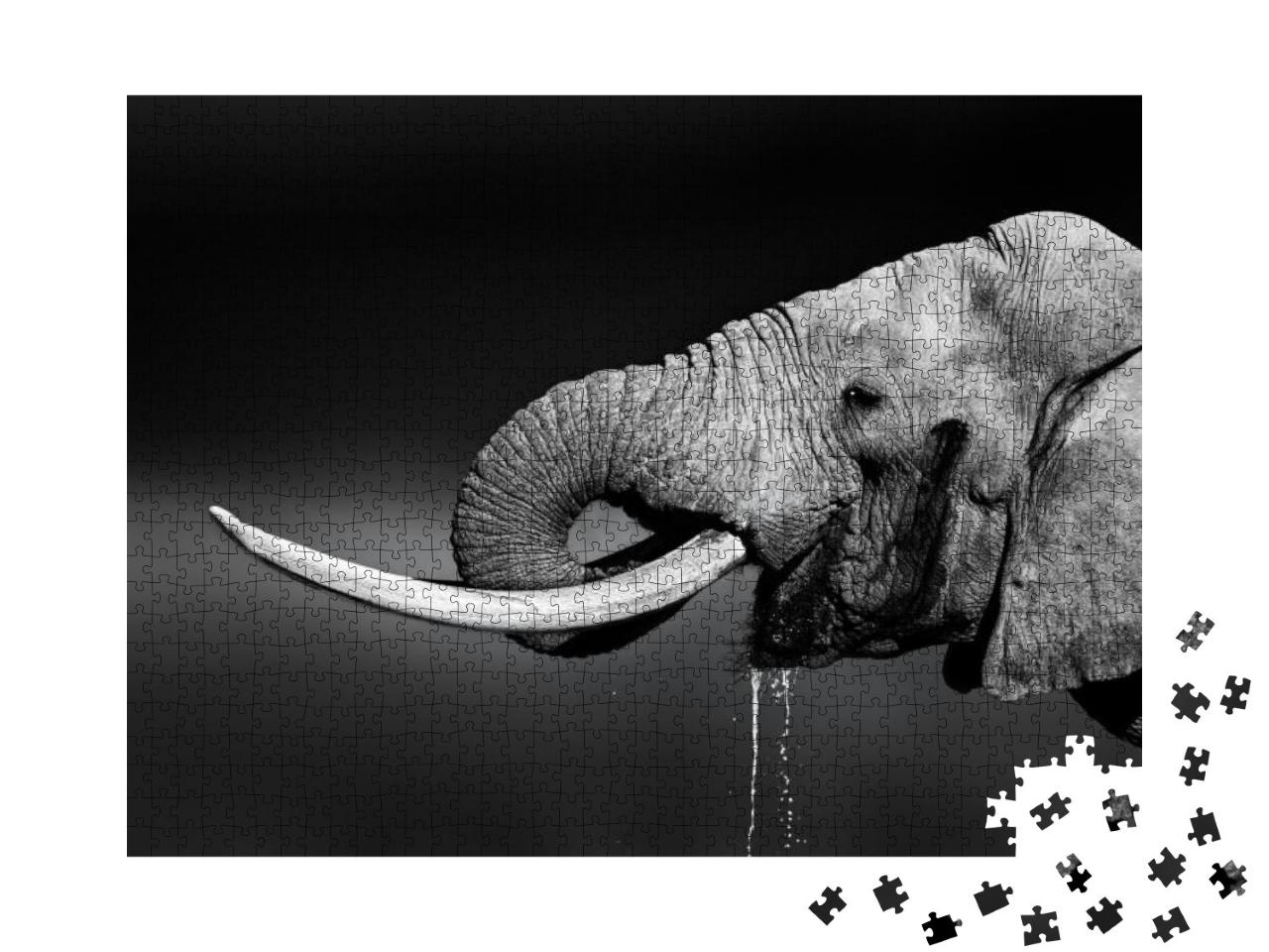Puzzle 1000 Teile „Elefantenbulle beim Wassertrinken, schwarz-weiß“