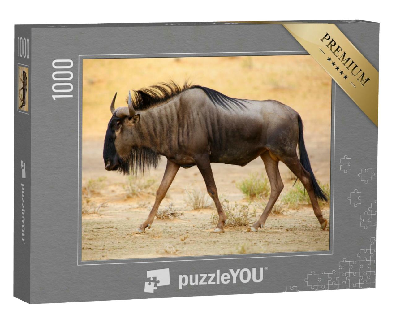 Puzzle 1000 Teile „Streifengnu in der Kalahari-Wüste“