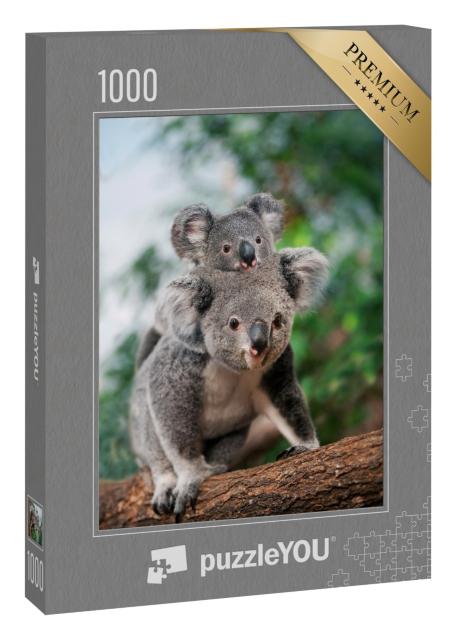 Puzzle 1000 Teile „Koala-Weibchen mit Jungtier auf dem Rücken“