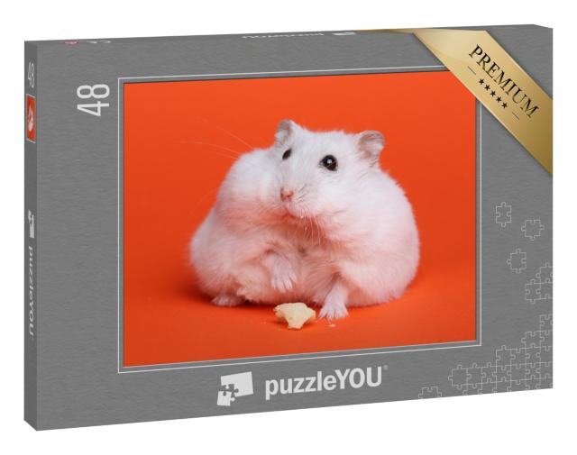 Puzzle 48 Teile „Fluffiger weißer Hamster“