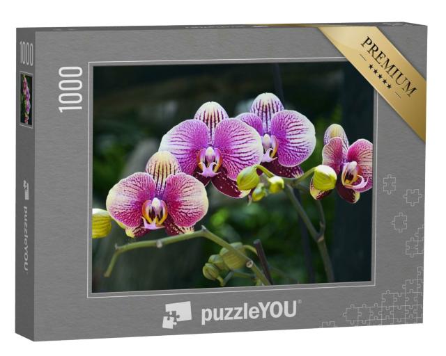 Puzzle 1000 Teile „Farbpracht: Orchideenblüte im tropischen Garten“