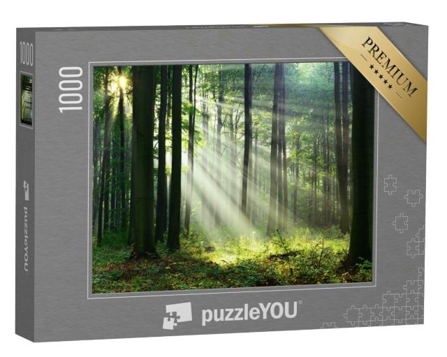 Puzzle 1000 Teile „Ein wunderschöner Morgen im Wald mit den ersten Sonnenstrahlen“