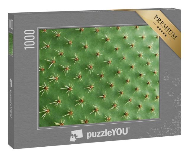 Puzzle 1000 Teile „Nahaufnahme der Stacheln eines Kaktus“