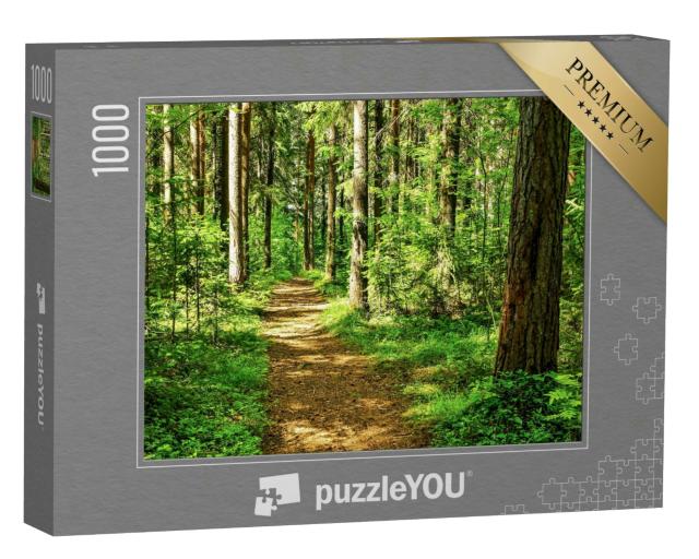 Puzzle 1000 Teile „Landschaftsszene im Wald: idyllischer Waldweg“