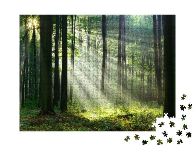 Puzzle 1000 Teile „Ein wunderschöner Morgen im Wald mit den ersten Sonnenstrahlen“
