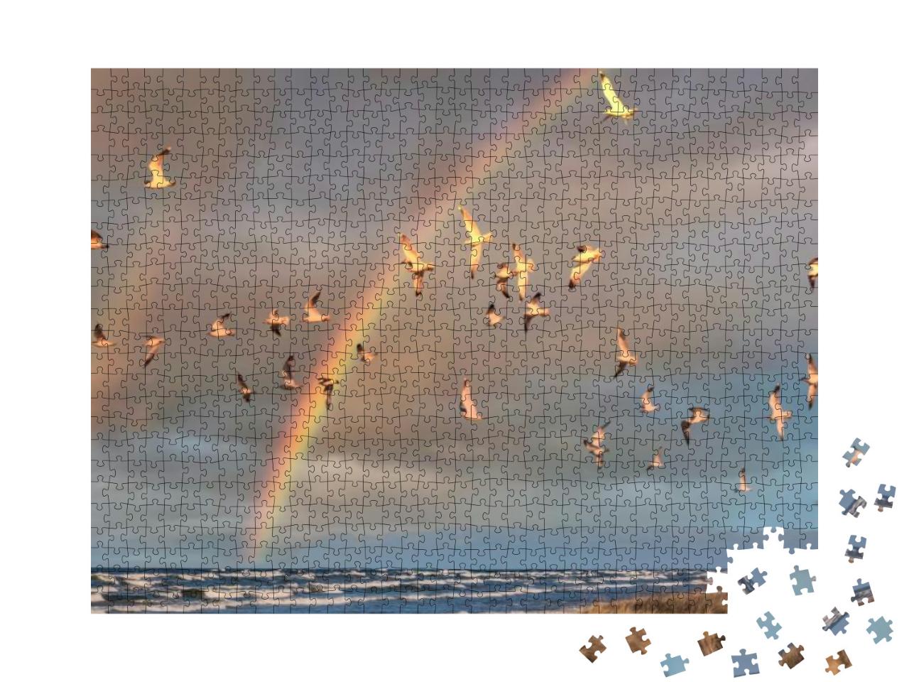 Puzzle 1000 Teile „Möwenschwarm im Flug unter einem Regenbogen an der Ostsee“