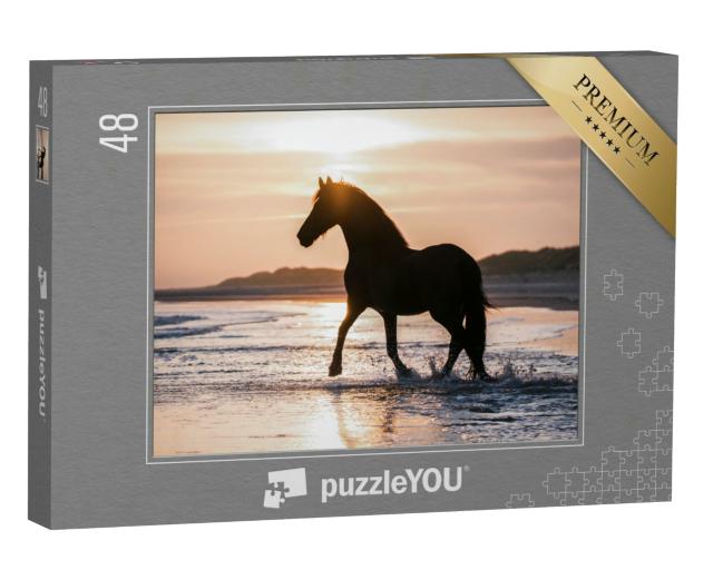 Puzzle 48 Teile „Schwarzes Pferd trabt frei am Strand gegen das Abendlicht“