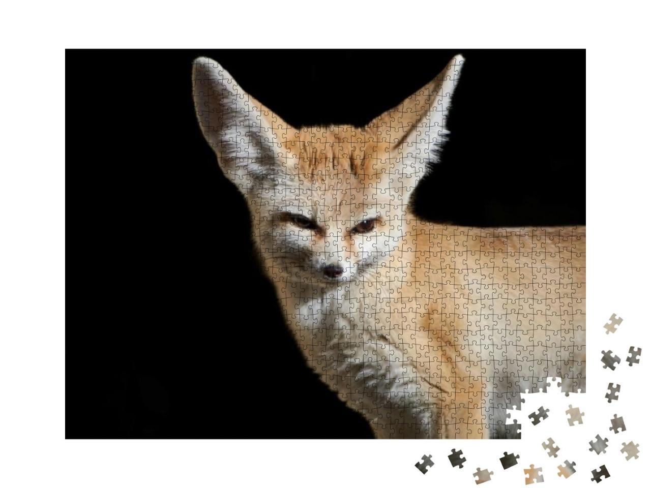 Puzzle 1000 Teile „Nahaufnahme eines Fennec-Fuchses“