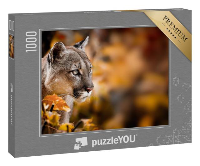 Puzzle 1000 Teile „Aufmerksamer Puma, auch bekannt als Berglöwe“