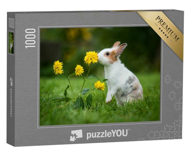 Puzzle 1000 Teile „Kleines neugieriges Kaninchen“