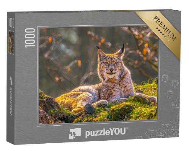 Puzzle 1000 Teile „Wunderschöner junger Luchs in der Wildnis des Waldes“