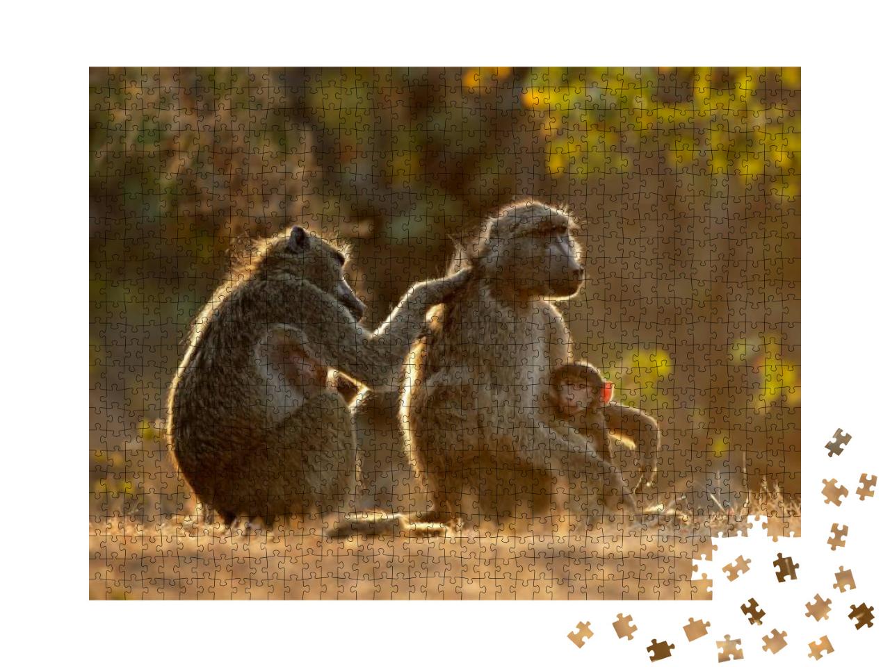 Puzzle 1000 Teile „Familienleben bei den Chacma-Pavianen, Kruger National Park, Südafrika“