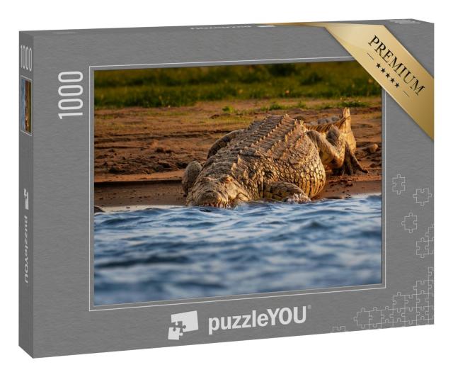 Puzzle 1000 Teile „Nilkrokodil am Flussufer öffnet sein Maul mit großen Zähnen“