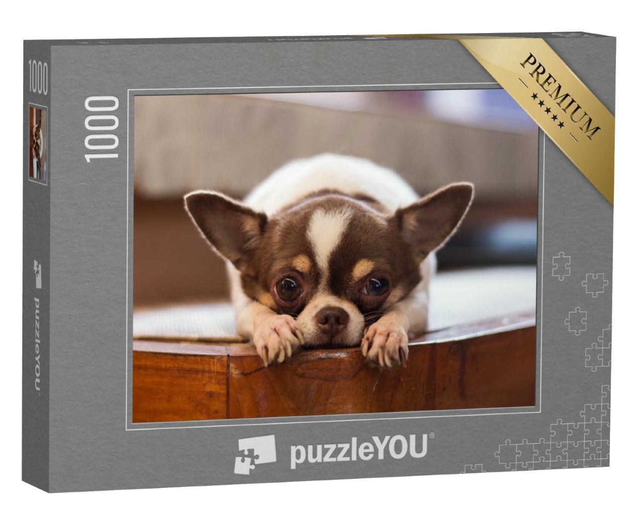 Puzzle 1000 Teile „Einsamer Hund, rotnasiger Chihuahua-Hund“