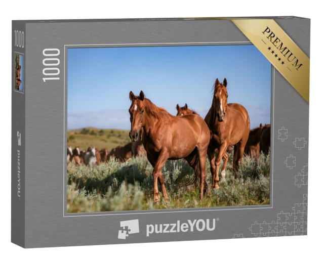 Puzzle 1000 Teile „Wunderschöne Herde amerikanischer Quarter Horse Ranch Pferde, Montana“