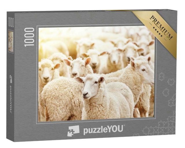 Puzzle 1000 Teile „Nahaufnahme einer Schafherde in einem Viehzuchtbetrieb“