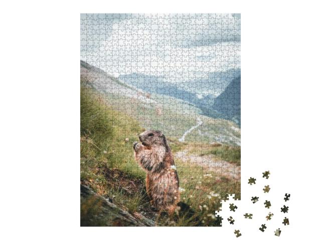 Puzzle 1000 Teile „Alpenmurmeltier auf einem Berghang in Österreich“