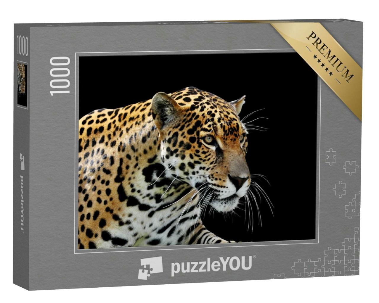 Puzzle 1000 Teile „Schöner Leopard: Porträt“