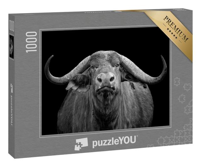 Puzzle 1000 Teile „Schwarz-Weiß-Foto: afrikanischer Büffel, Tsavo Ost Nationalpark“